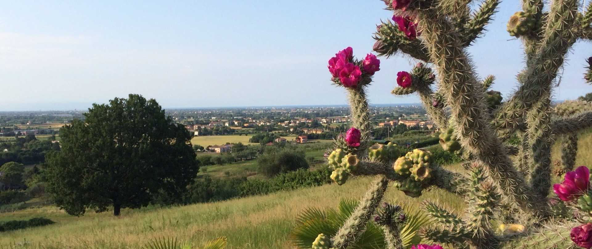 Relax B&B Santarcangelo |bedandbreakfastlavilladellartista.com